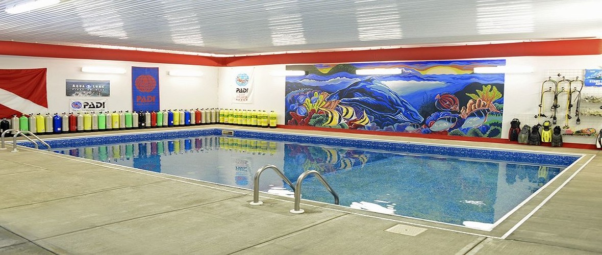 Aquatic World Pool