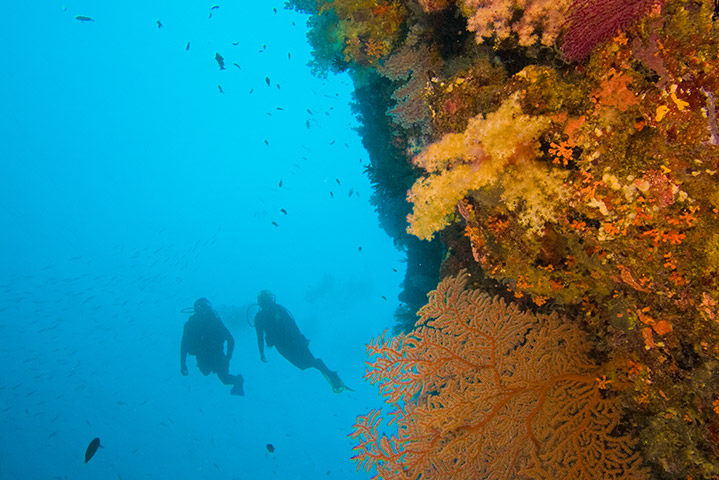Aquatic World Deep Diver